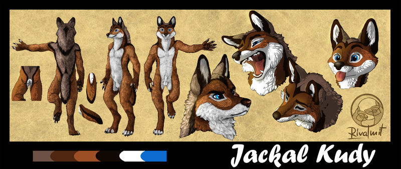 digital digital drawing reference jackal Digital Drawings  Jackal Kudy reference  Digital Drawings