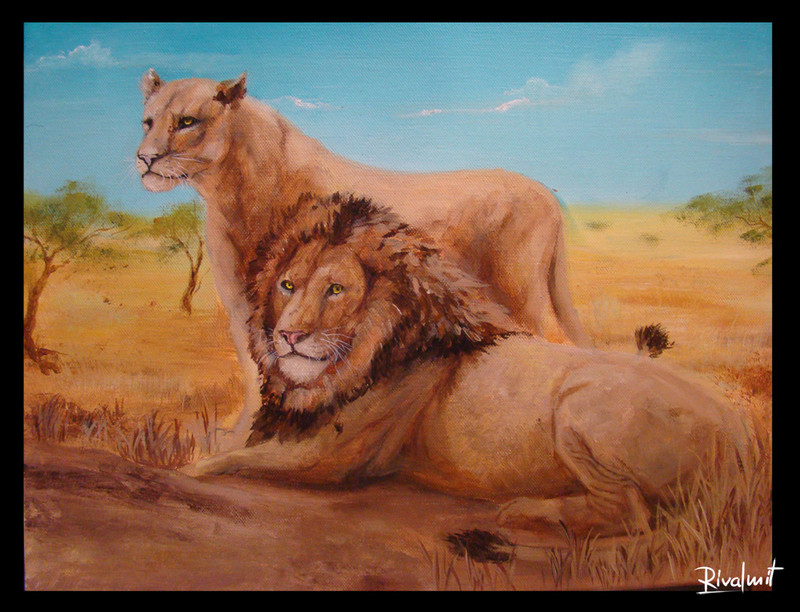 lion lioness africa savanna grassland painting canvas acrylic Paintings Lions in savanna Paintings
