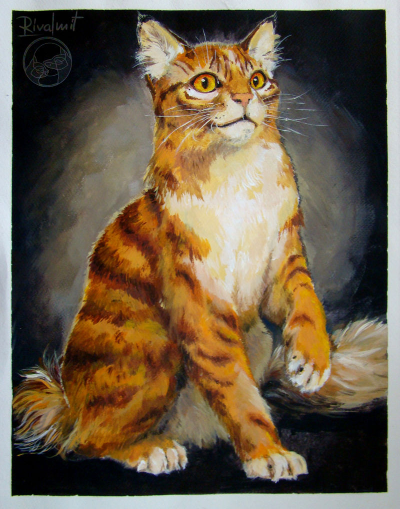 cat painting acrylic maine coon Paintings Maine coon Paintings