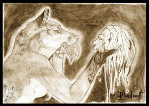 Fox copy.jpg