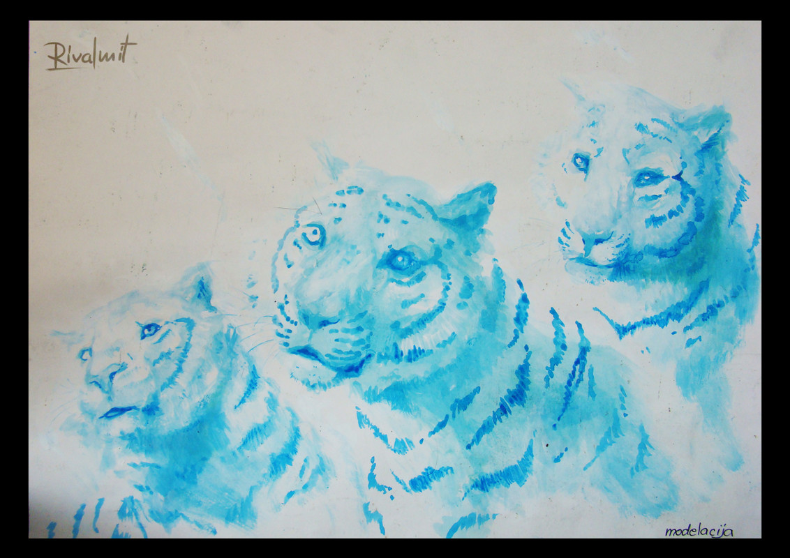 drawing acrylic tiger Wild Spirits