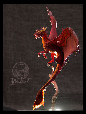 AkuDragon (51)4.jpg