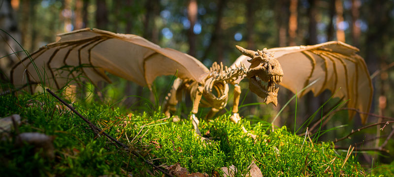 poseable dragon skeleton sculpture death Sculptures  Living Skeleton Dragon  Sculptures