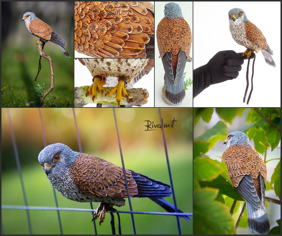 kestrel companion bird sculpture Kestrel