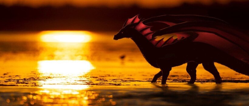 Dragon sunset dragon photograph sunset