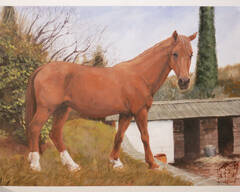 Traditionalart Paintings and Speedpaintings horse commission.jpg
