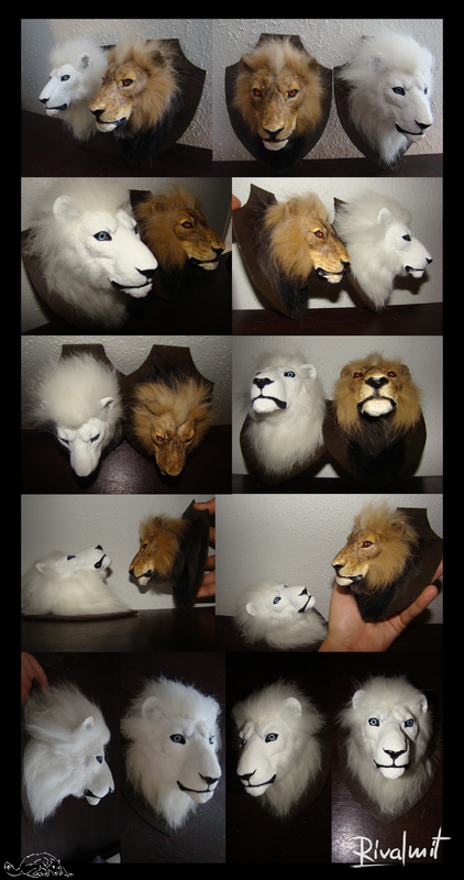 trophy miniature lion sculpture fur Miniature Lion head trophy
