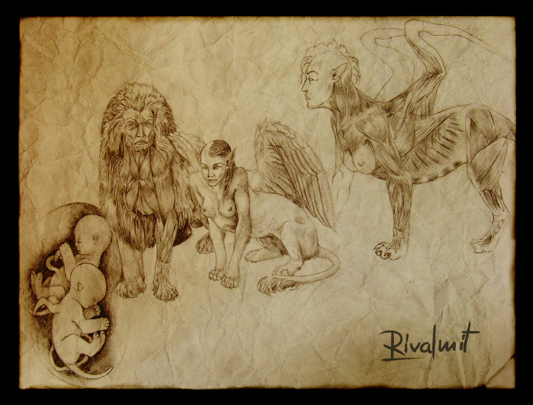 drawing anatomy sphinx mythology anthropomorphic Sphinx anatomy