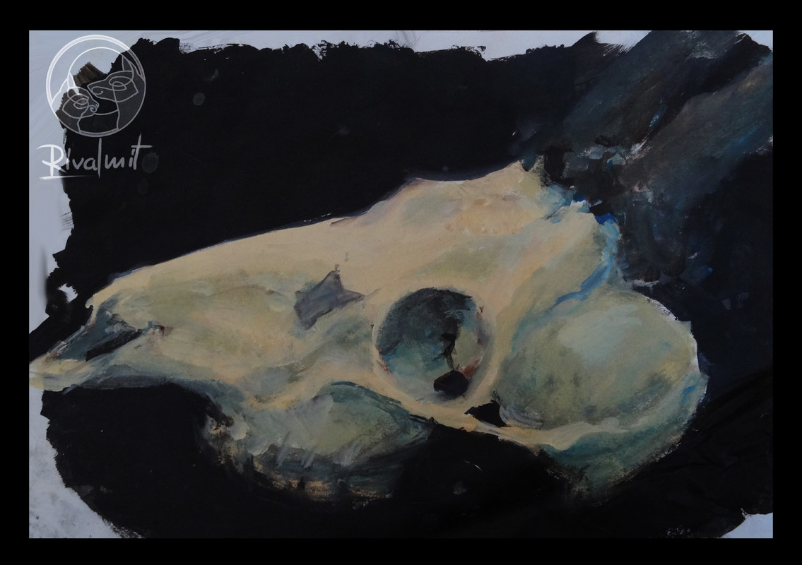painting acrylic skull deer elk skulls