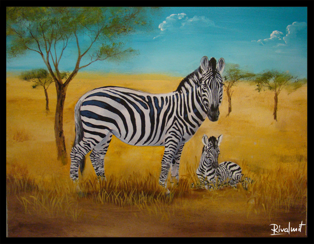 zebra savanna africa grassland painting canvas acrylic Zebras