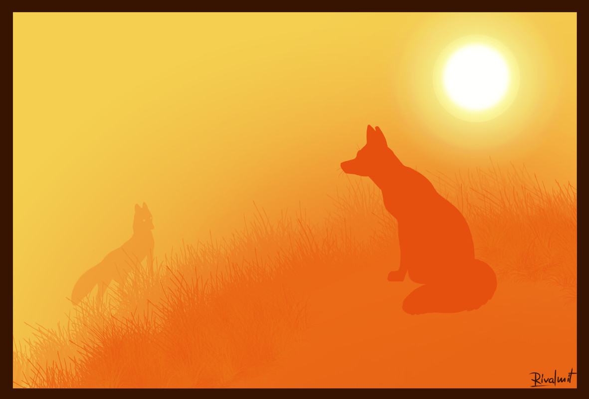 digital digital drawing fox contrast sunset Brief encounters