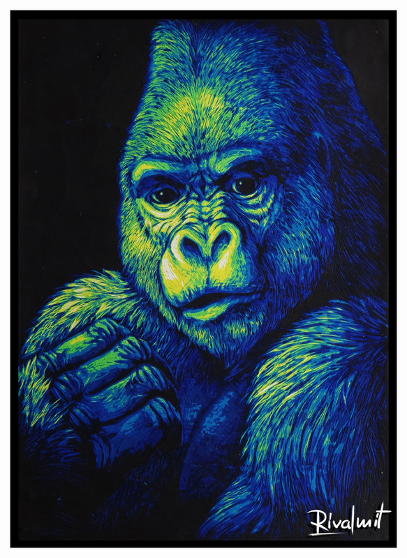 painting scratchboard gorila Gorila