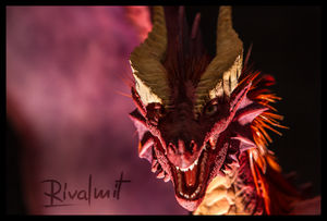 AkuDragon (51)2.jpg