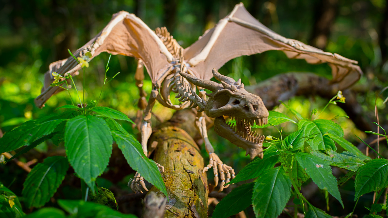 poseable dragon skeleton sculpture death  Living Skeleton Dragon 