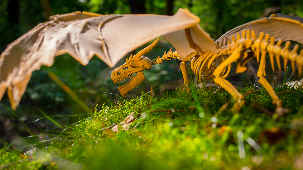 poseable dragon skeleton sculpture death  Living Skeleton Dragon 