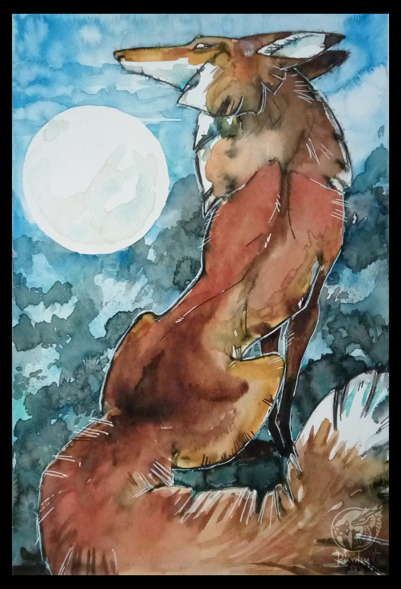 drawing fox watercolor traditional art traditionalart fox and the moon
