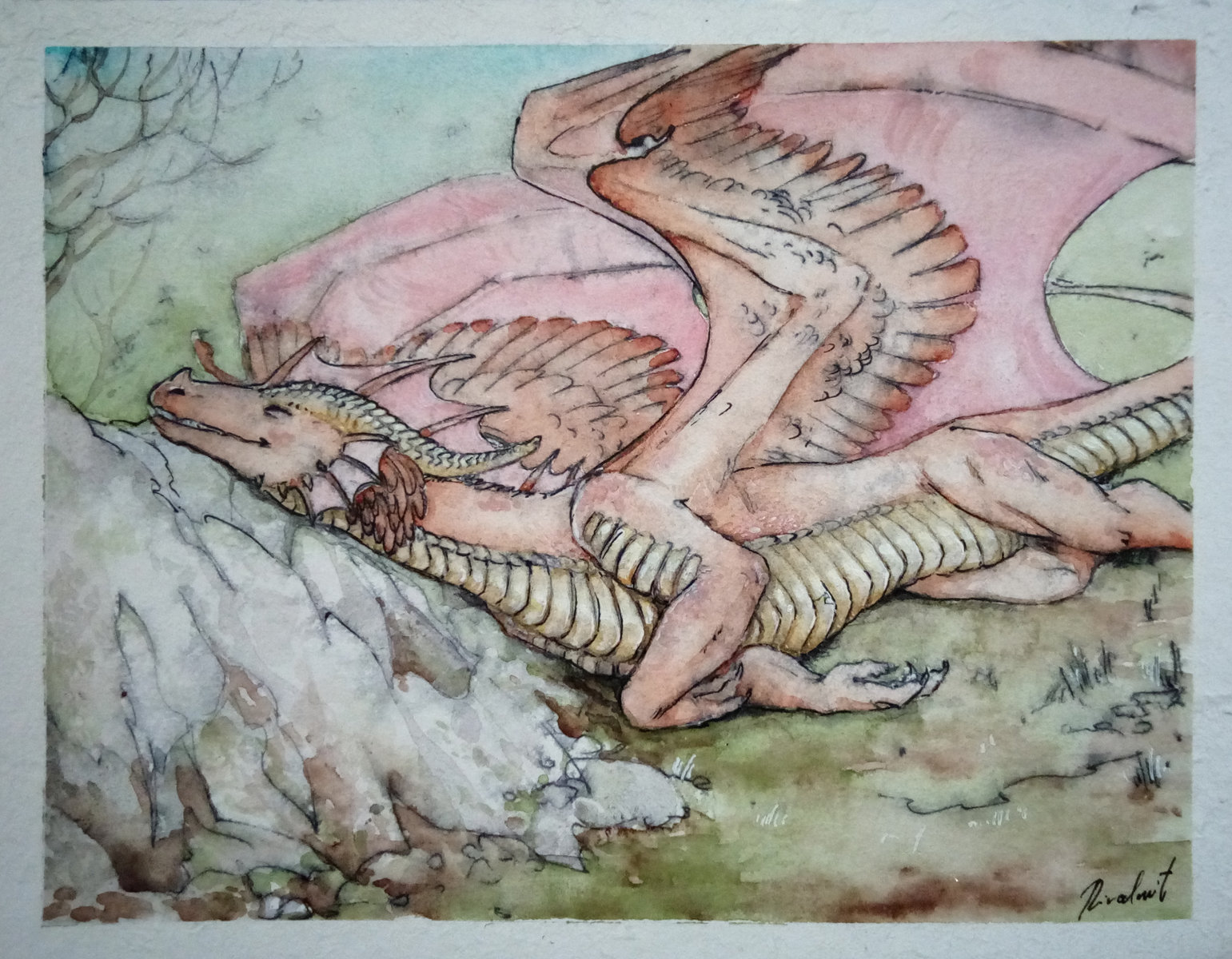 dragon drawing watercolor Sleeping dragon on a sunny day  