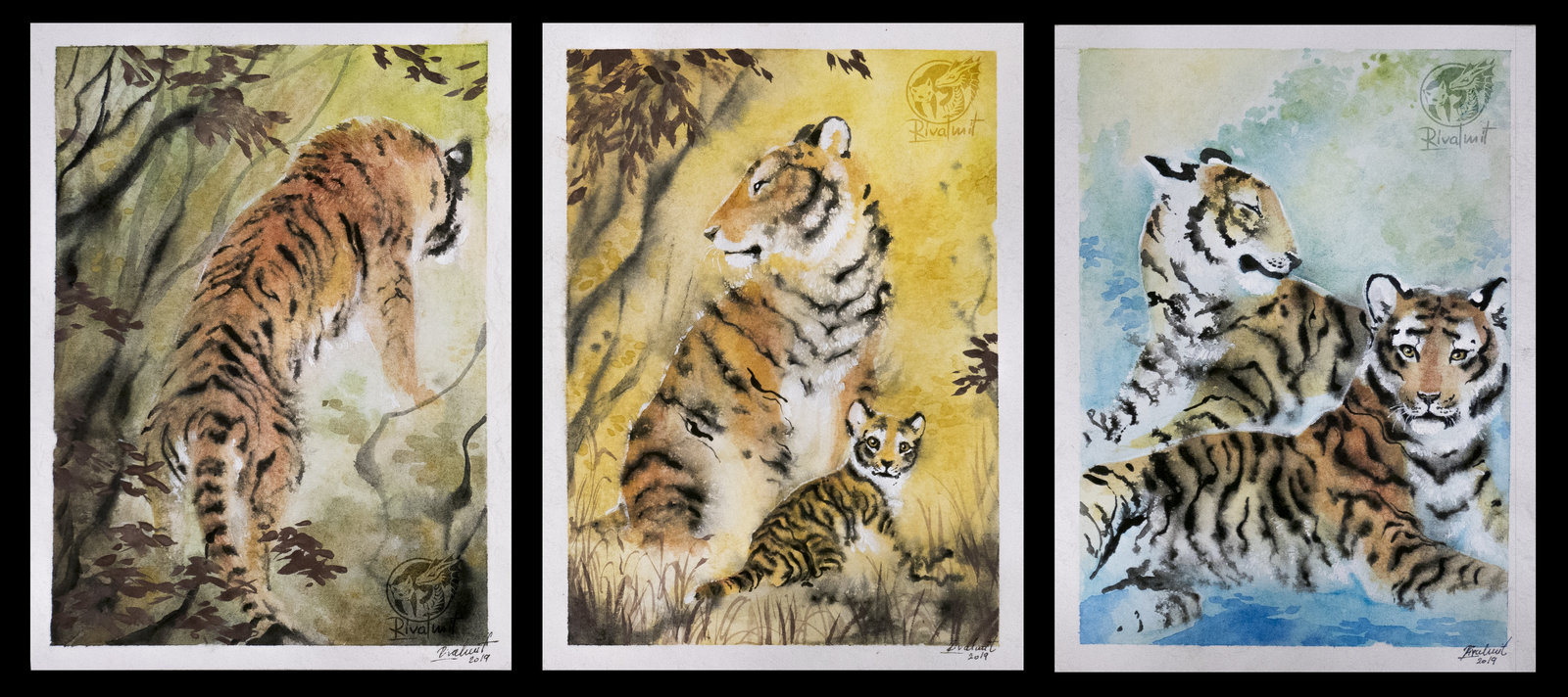 drawing felinae ef tiger watercolor Retrospective