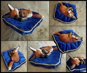 royal_fox_on_blue_pillow.jpg