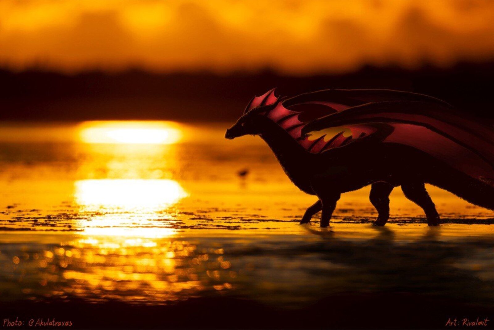 dragon photograph sunset Dragon sunset