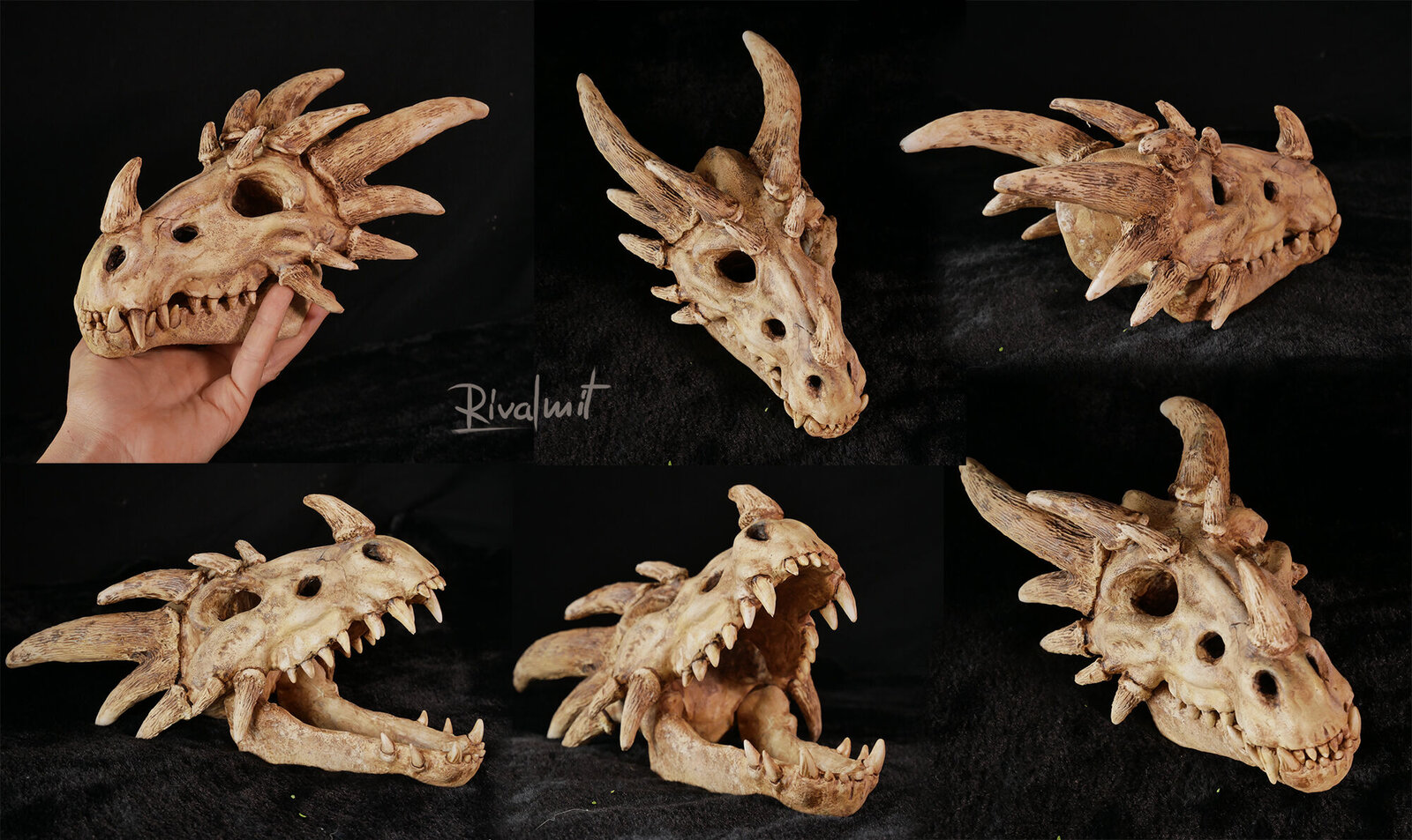 dragon skull sculpture Dragon skull 
