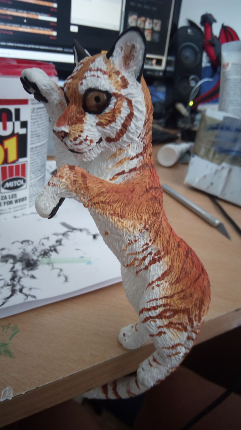   Taby tiger coloration for this one, also known as golden tiger :)