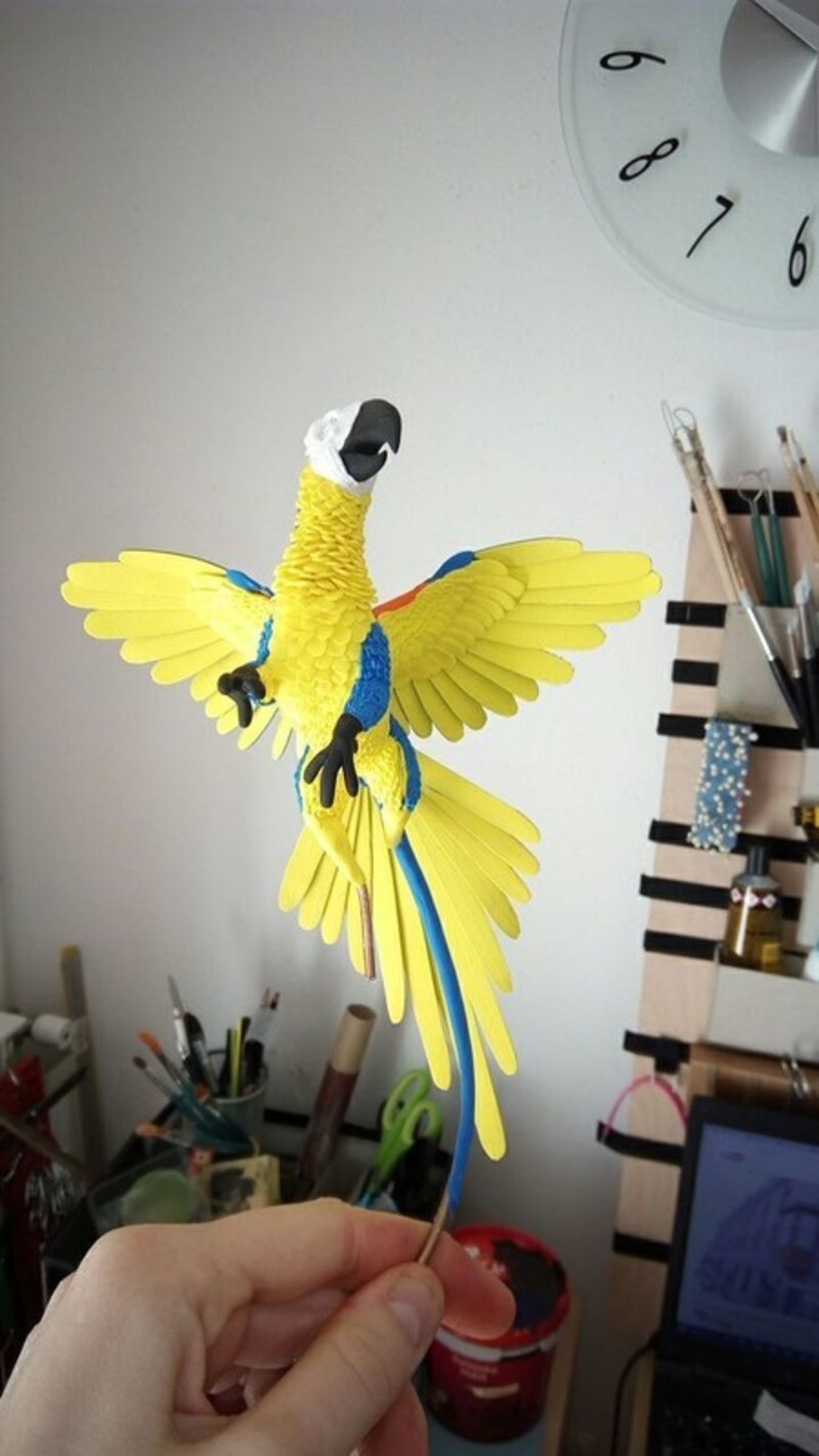  sculpture commission artwork companion parrot macaw bird gryphon mythology  griffin balanced eurofurence 23 Blue macaw