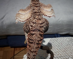 sculpture commission artwork raptor dinosaur balance velociraptor 