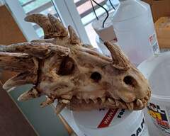 skull dragon  dragon skull art sculpture 