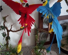 Blue & red Macaw sculpture commission artwork companion parrot macaw bird gryphon mythology  griffin balanced eurofurence 23